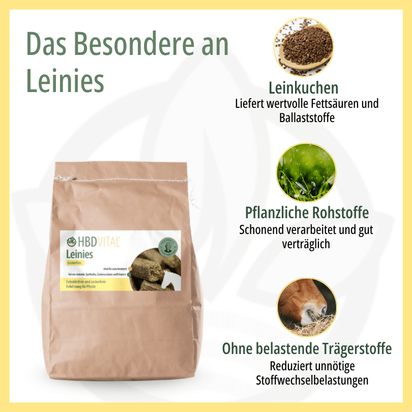Infografik zu HBD Vital® Leinies: Leinsamen für wertvolle Fettsäuren und Ballaststoffe, schonend verarbeitete pflanzliche Rohstoffe und Verzicht auf belastende Trägerstoffe