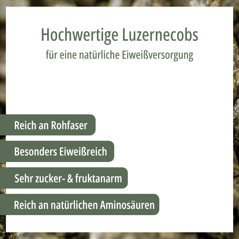 Grafik zu HBD Vital® MyoVit: reich an Rohfaser, besonders eiweißreich, sehr zucker- und fruktanarm, reich an natürlichen Aminosäuren