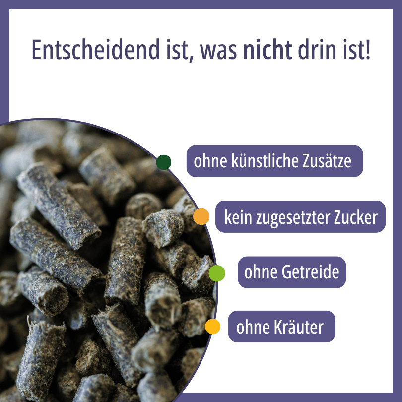 Nahaufnahme der HBD Vital® Amino+ Pellets, ohne künstliche Zusätze, ohne zugesetzten Zucker, ohne Getreide, ohne Kräuter