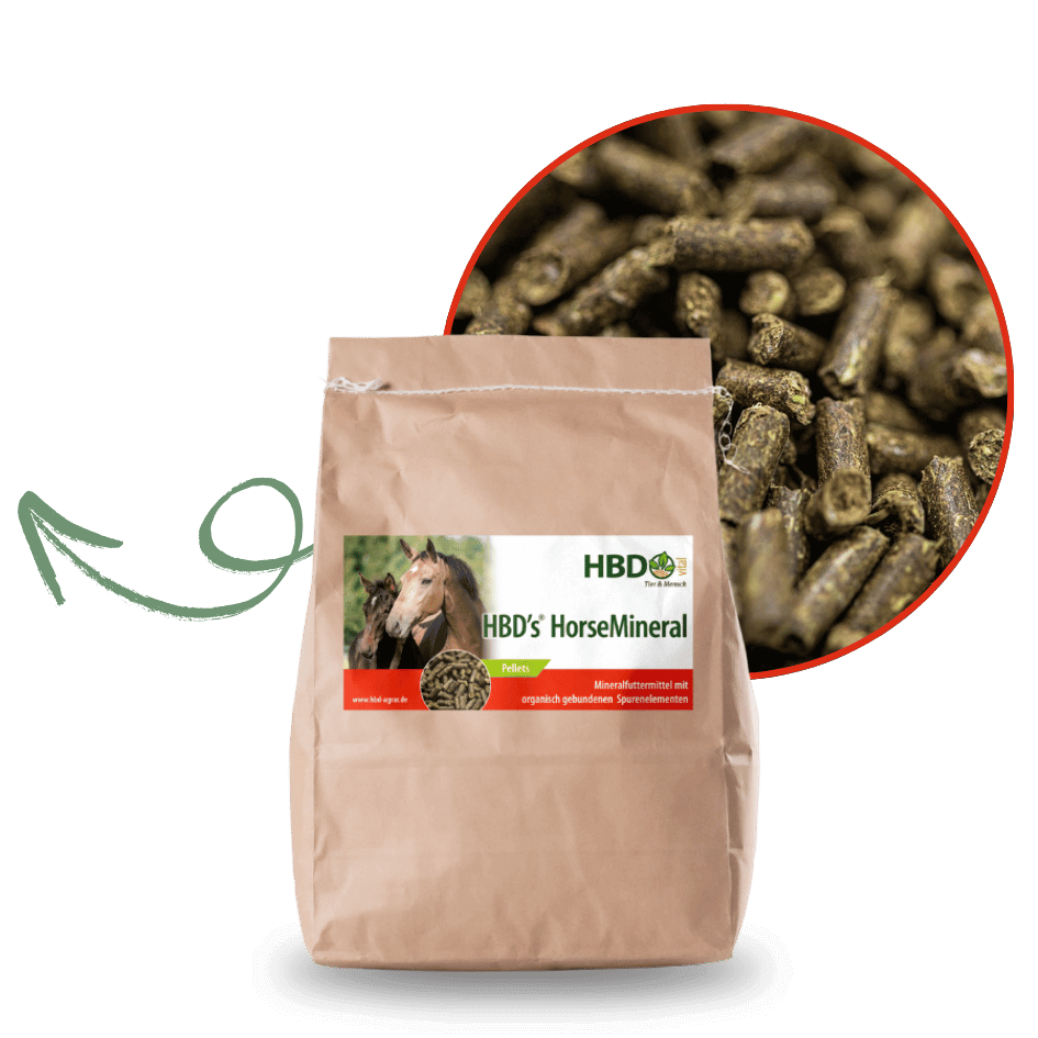 HBDs Mineralfutter für Pferde ist abgebildet mit der Futterstruktur und einem Pfeil der nach links zeigt