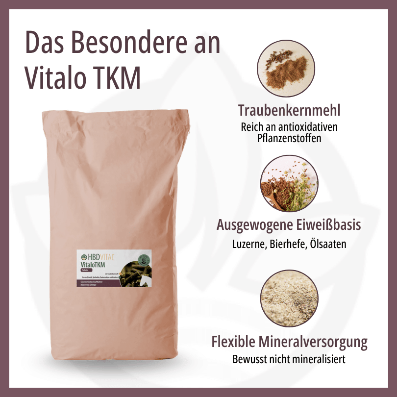 HBD Vital® Vitalo TKM mit Traubenkernmehl, reich an antioxidativen Pflanzenstoffen, einer ausgewogenen Eiweißbasis aus Luzerne, Bierhefe und Ölsaaten sowie bewusst nicht mineralisiert für eine flexible Mineralversorgung.