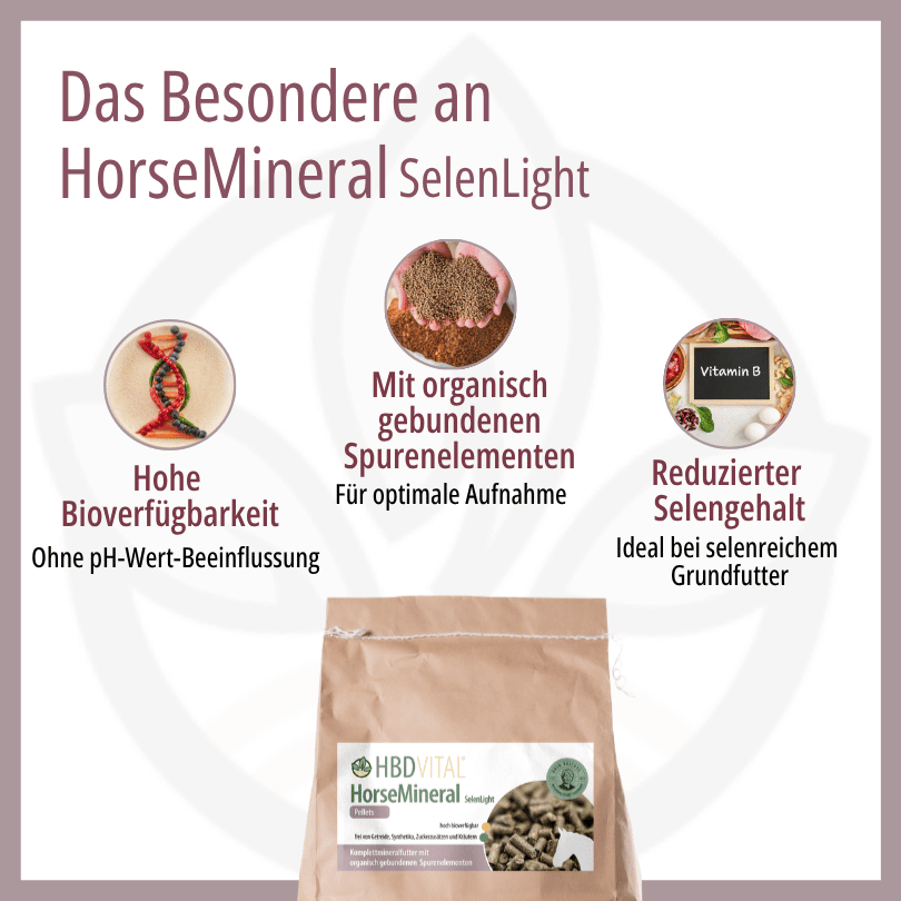 Infografik zu HBD Vital® HorseMineral SelenLight: hohe Bioverfügbarkeit ohne pH-Wert-Beeinflussung, organisch gebundene Spurenelemente für optimale Aufnahme sowie B-Vitamine zum Ausgleich bei verminderter Eigenproduktion