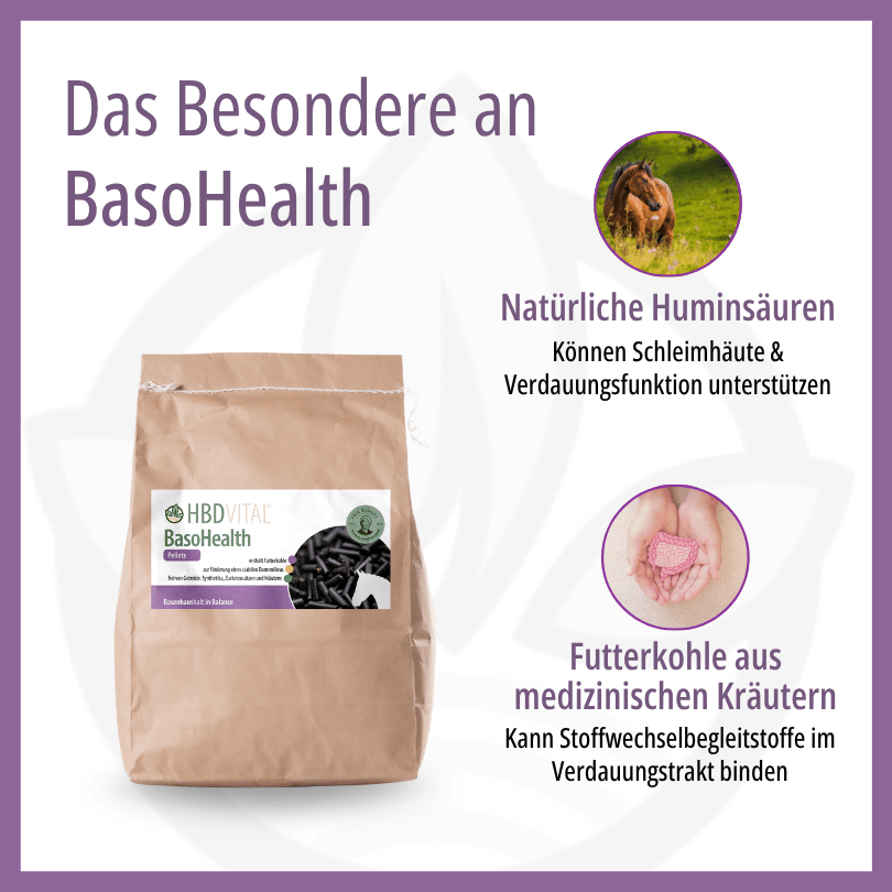 Infografik zu HBD Vital® BasoHealth: natürliche Huminsäuren und Futterkohle zur Unterstützung des Basenhaushalts sowie der Schleimhäute und Verdauungsfunktion
