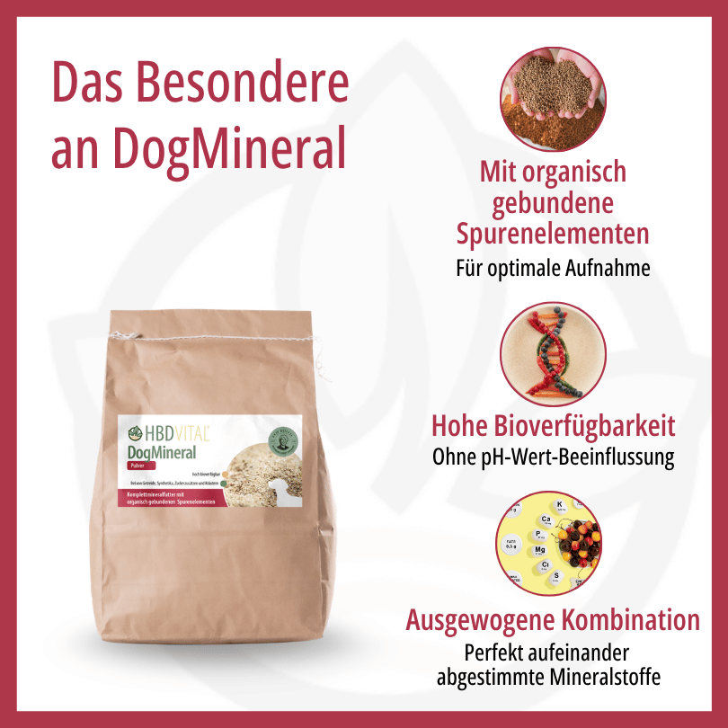 Infografik zu HBD Vital® DogMineral: organisch gebundene Spurenelemente für optimale Aufnahme, hohe Bioverfügbarkeit ohne pH-Wert-Beeinflussung und eine ausgewogene Kombination an Mineralstoffen
